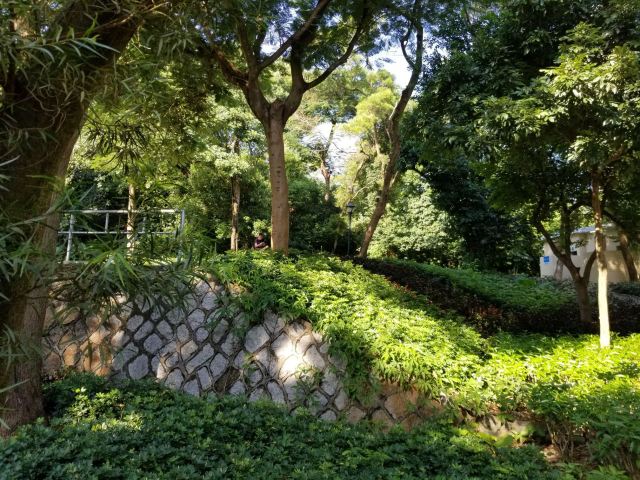 珠海炮台山公园攻略,珠海炮台山公园门票/游玩攻略/地址/图片/门票