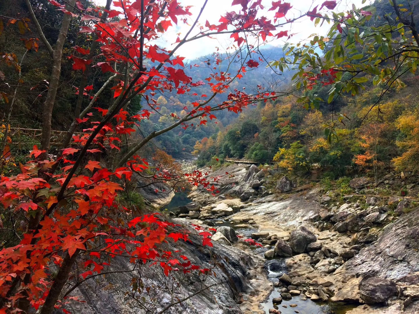 马鬃岭自然保护区