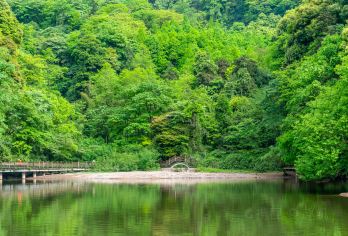 青城后山+都江堰一日游包车出行三环内接送家庭亲子游【[品质纯玩]纯玩品质，不进店购物，无强制消费行程透明！】