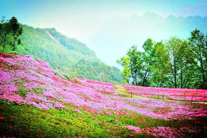 药王谷景区