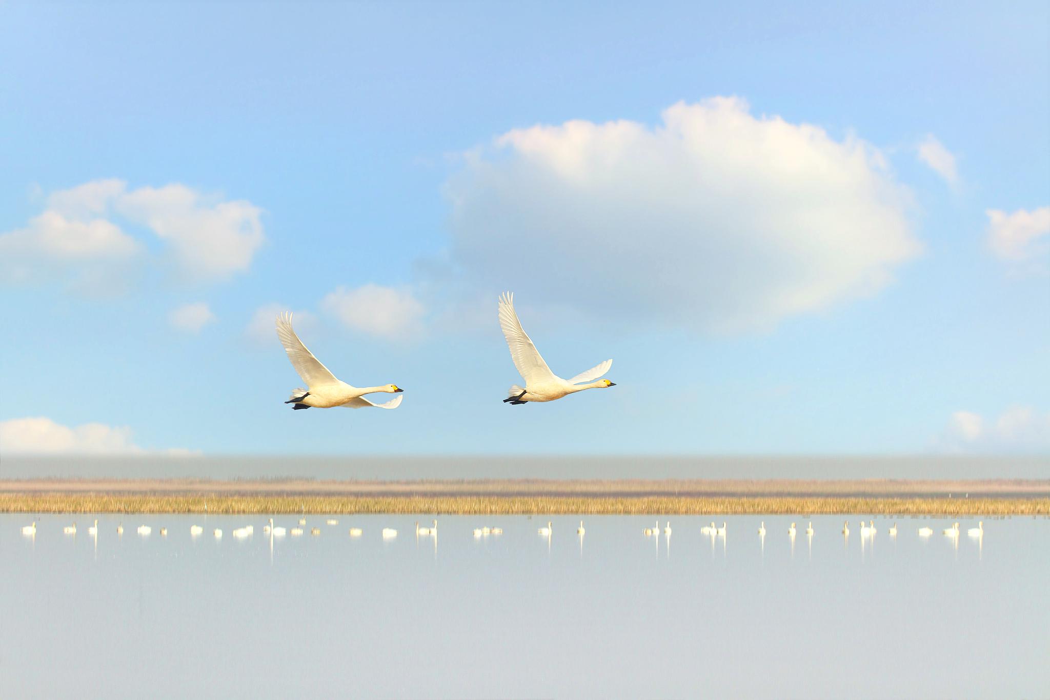 鄱阳湖