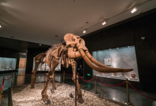 【洛阳起止2-8人精品小团】龙门石窟+洛阳博物馆+白马寺【龙门石窟+白马寺+博物馆 感受洛阳深邃文化】