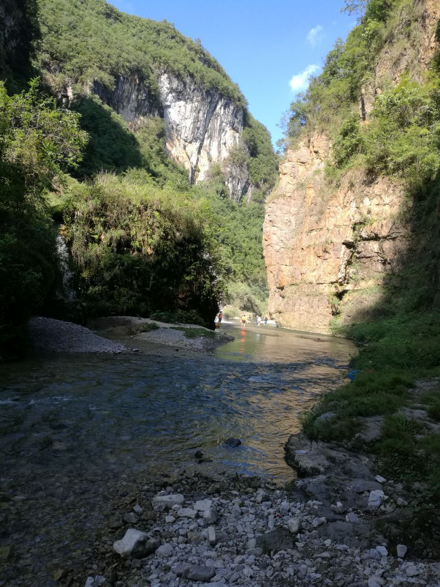 野洞河