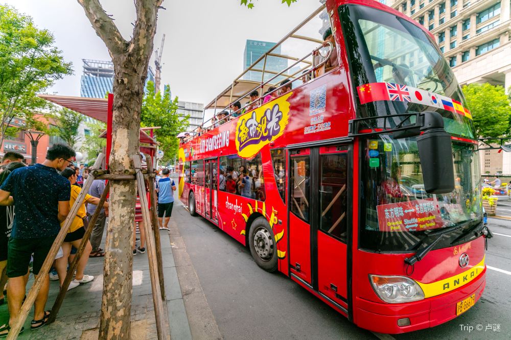 city bus tour shanghai