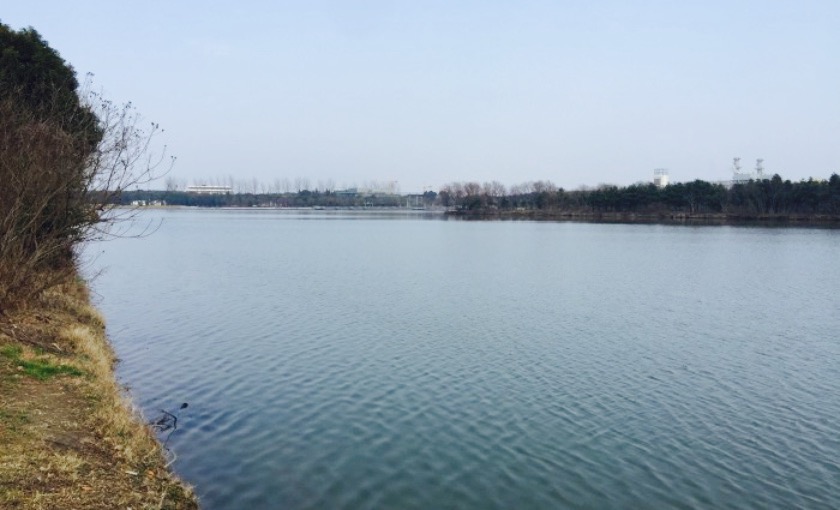 昆阳湖