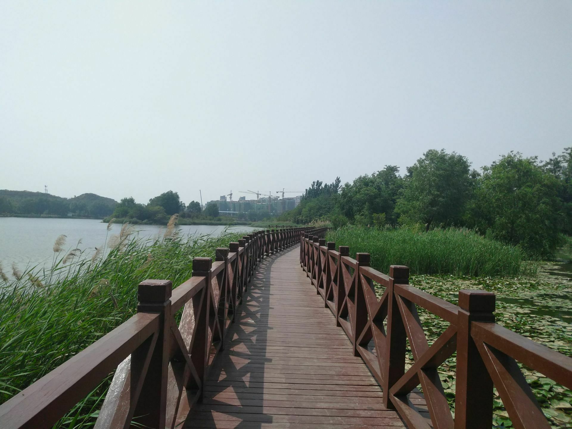 轩辕湖湿地文化园