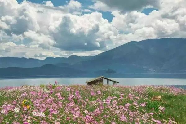 相約瀘沽湖畔,邂逅一場格桑花海 瀘沽湖旅遊攻略