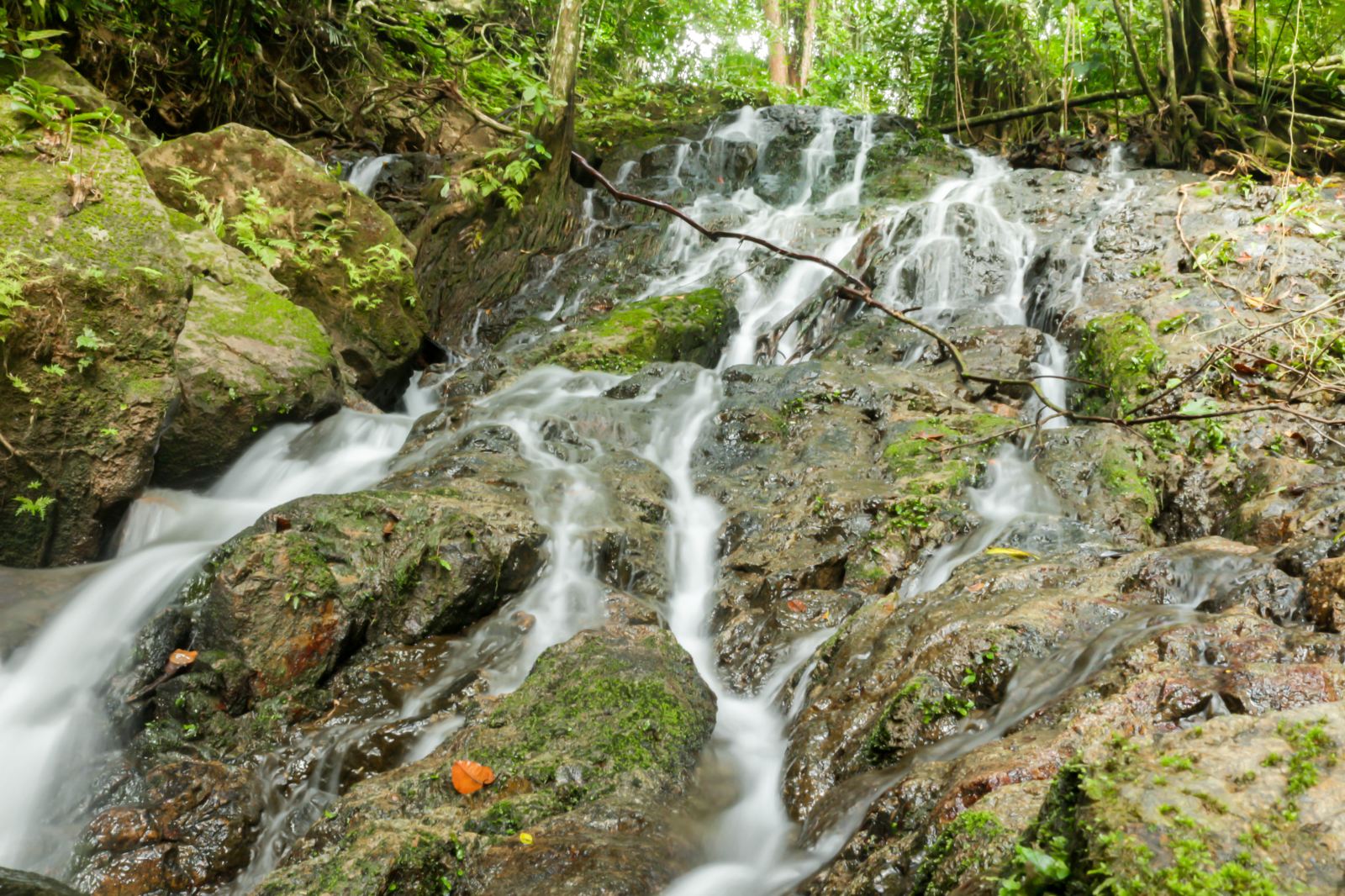 泰国普吉岛通赛瀑布 น้ำตกโตนไทร