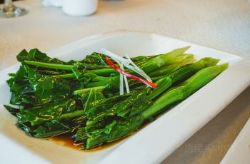 10040j000000a318rD556_R_350_230.jpg