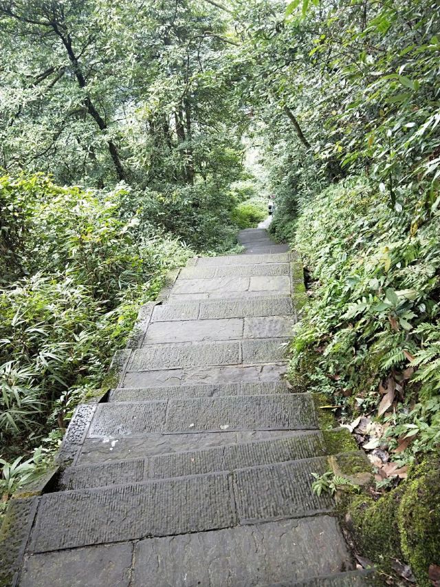峨眉山九十九道拐攻略,峨眉山九十九道拐门票/游玩攻略/地址/图片