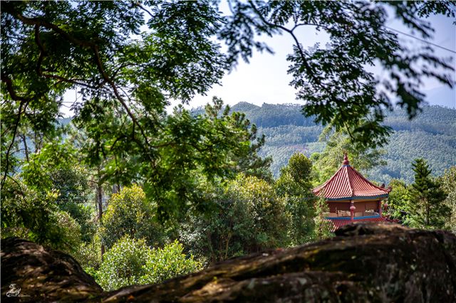 长泰旅游必去十大景点(长泰有什么好玩的旅游景点)