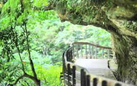 花莲砂卡当步道天气预报 历史气温 旅游指数 砂卡当步道一周天气预报 携程攻略