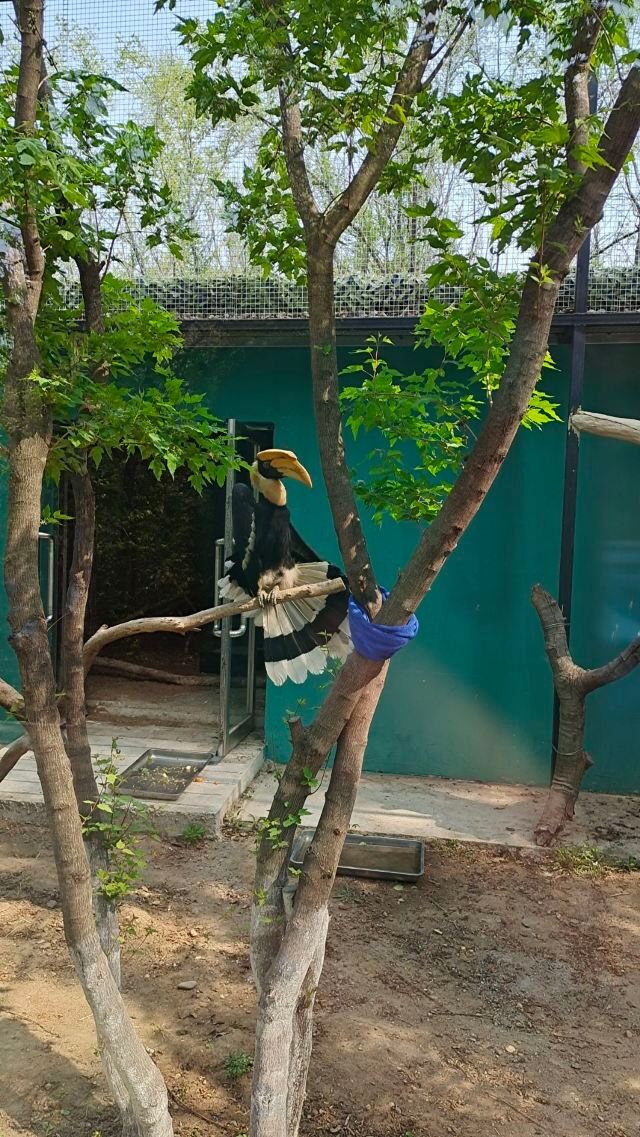 瀋陽瀋陽鳥島攻略,瀋陽瀋陽鳥島門票/遊玩攻略/地址/圖片/門票價格