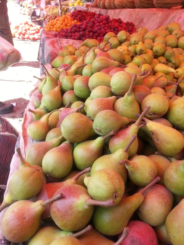 小黑&小红花的青海湖甘南川北行