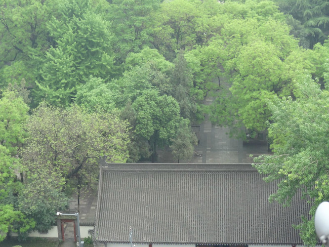 西北望长安,陌上无穷树