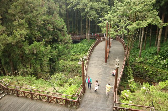 阿里山乡巨木群栈道攻略,阿里山乡巨木群栈道门票/游玩攻略/地址/图片