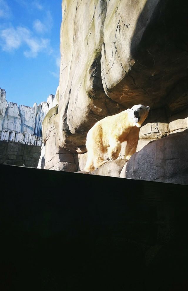 哈根贝克动物园