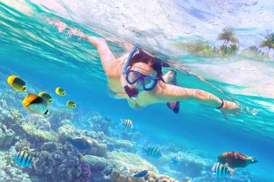 石螺口海滩潜水体验
