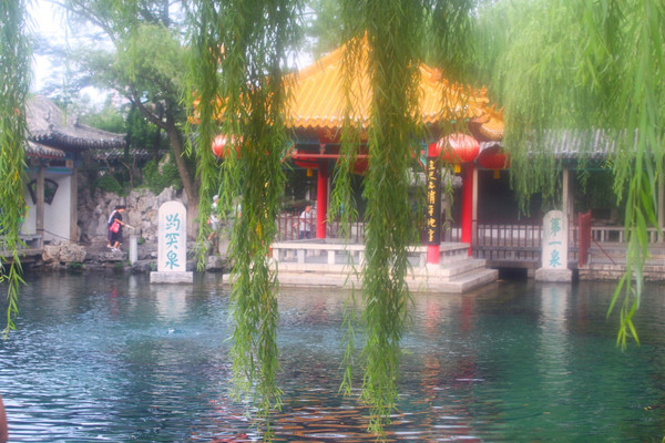 我们下山的时间点没有小火车了,只好到泰安站坐高铁,打滴滴过去20左右