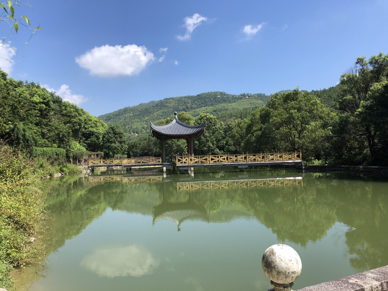 绿源名贵植物园