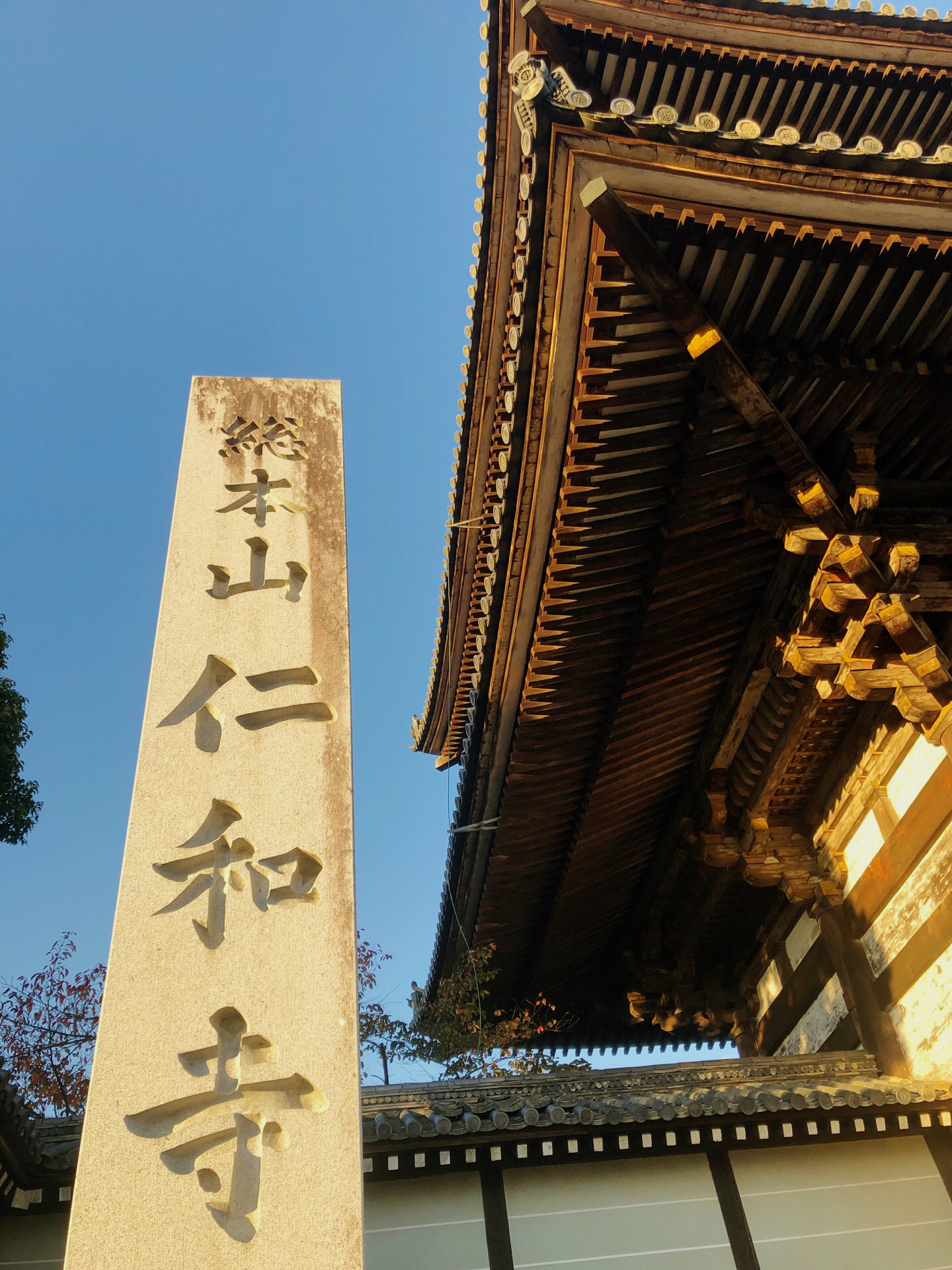 京都仁和寺攻略 仁和寺门票价格多少钱 团购票价预定优惠 景点地址图片 携程攻略