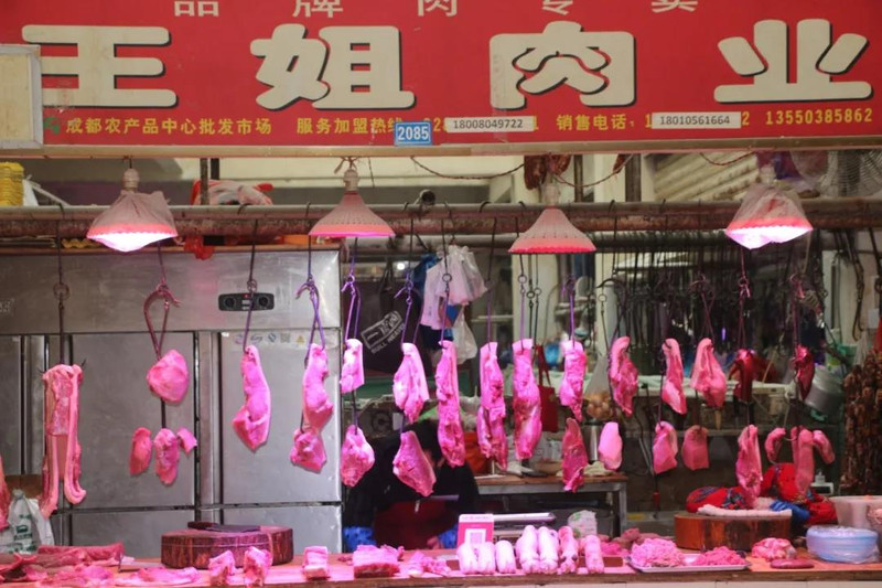 10061d000001eo0xl5509_R_800_10000_Q90.jpg?proc=autoorient