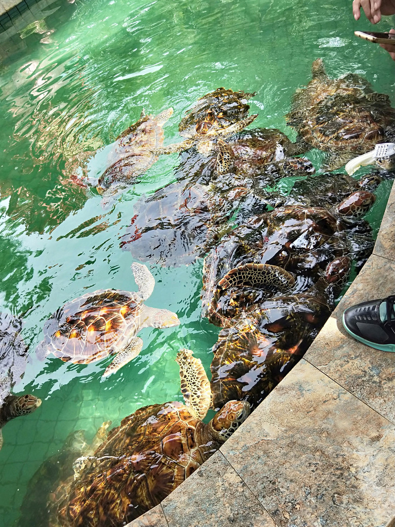 10070t000000j61m8D172_R_800_10000_Q90.jpg?proc=autoorient