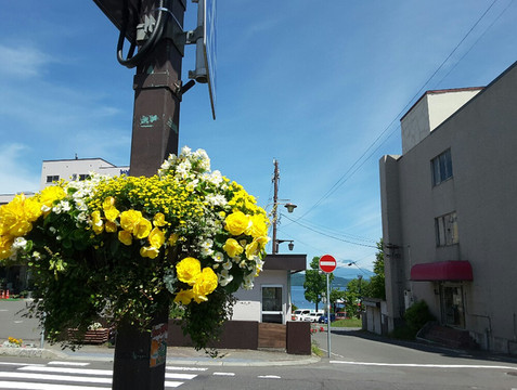 彩虹的世界 童话的故事一一东日本北海道逍遥游之六洞爷情游