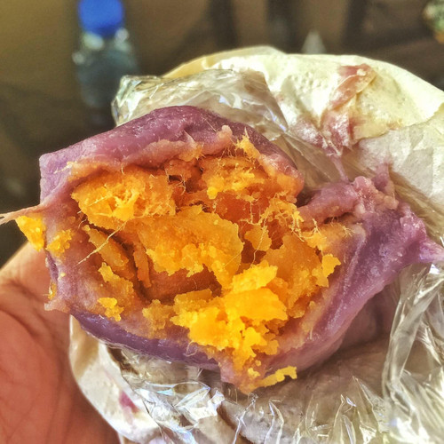 上海7天+乌镇1天