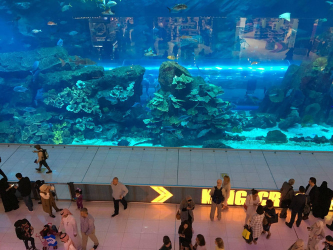 摩洛哥(阿布扎比转机)20日自驾游 - 游记攻略