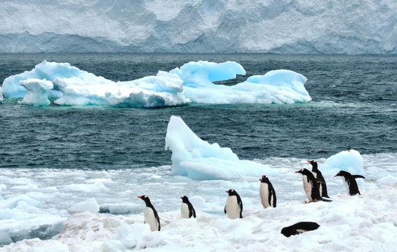 特色体验活动丰富多彩｜凤凰山与雪谷景区冰雪盛宴收获满满