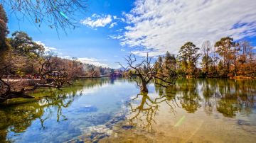 shutterstock_525118708