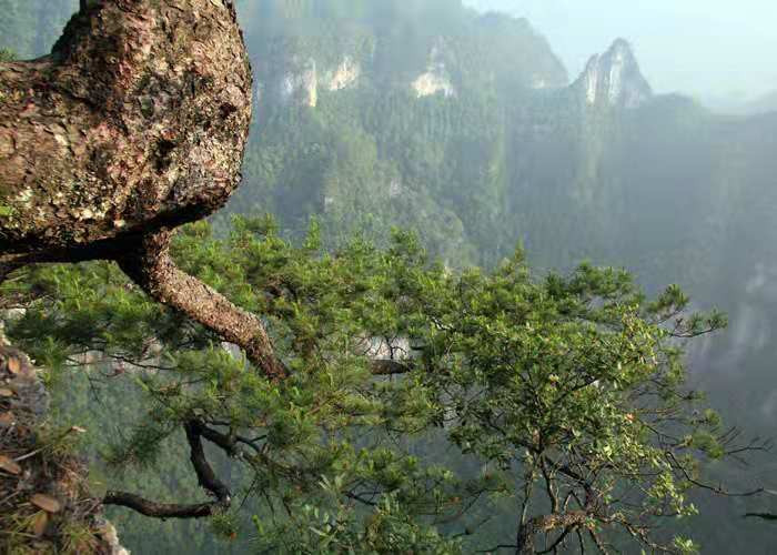 100812000000tcicx3287_R_800_10000_Q90.jpg?proc=autoorient