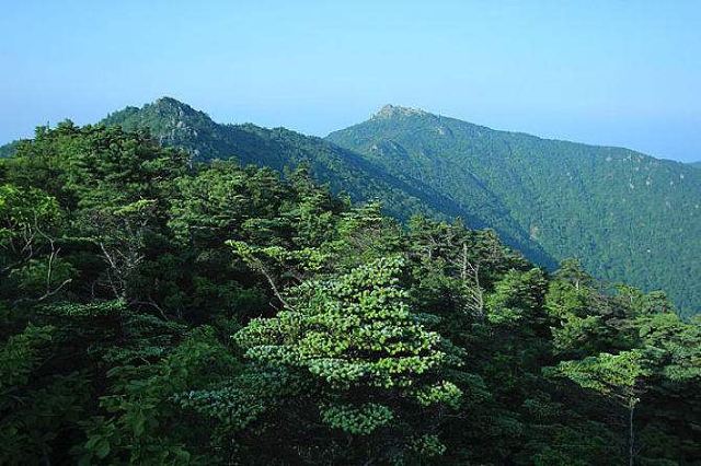 智異山國家公園