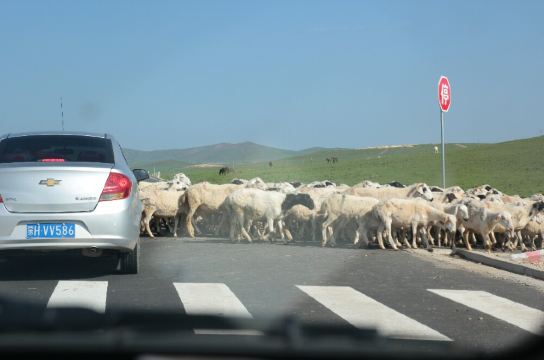 不走回头路,顺时针环游中内蒙:锡林浩特 西乌 克什克腾