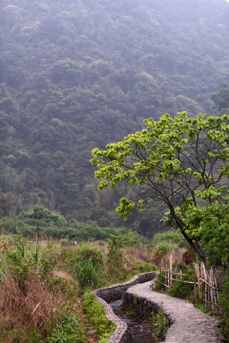 溪璧山村有多少人口_璧山香漫溪岸户型图