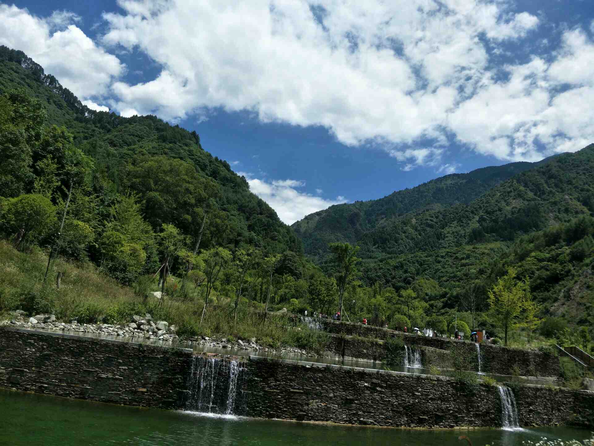 卧龙中华大熊猫苑神树坪基地