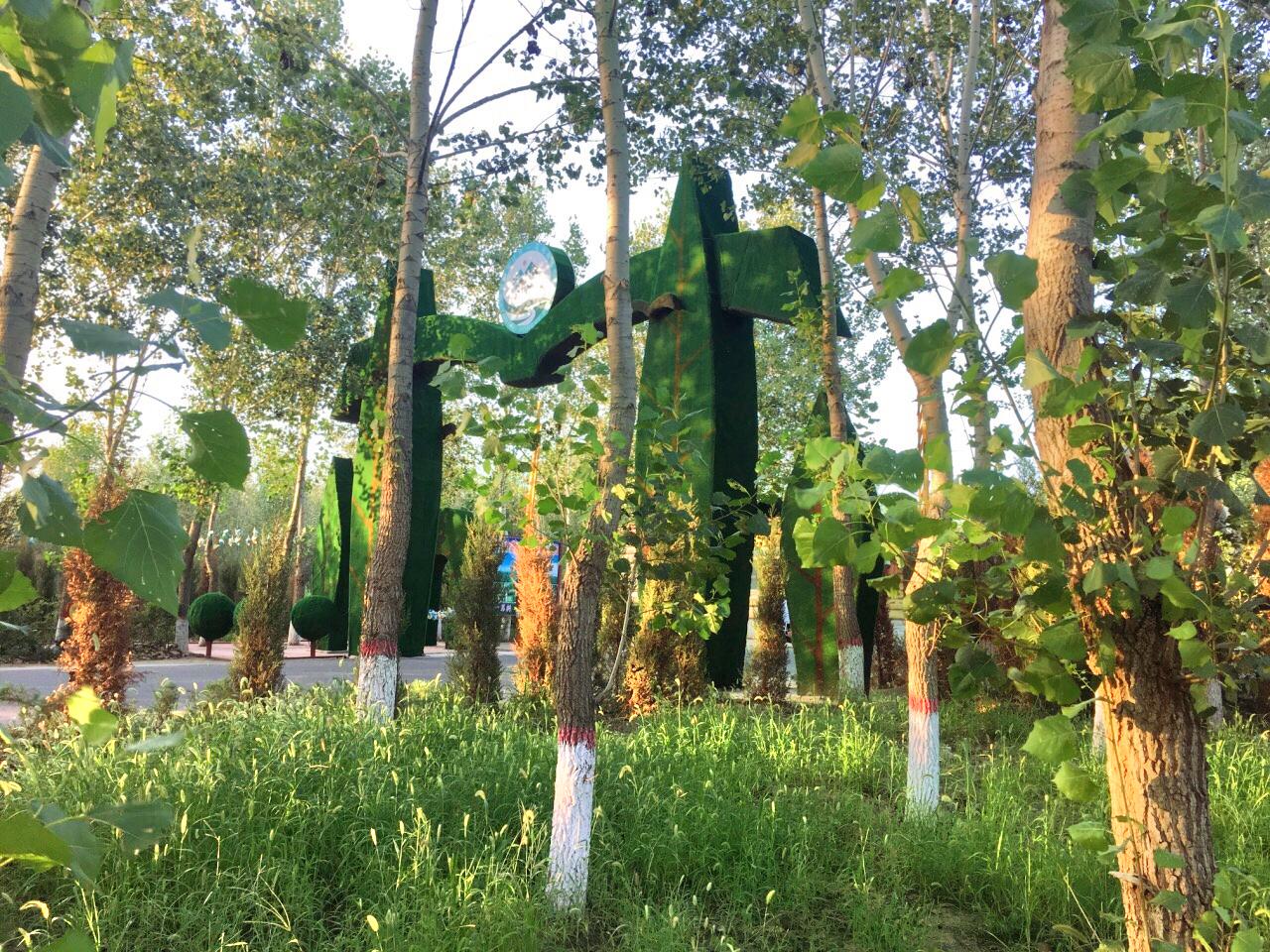 一马树森林公园