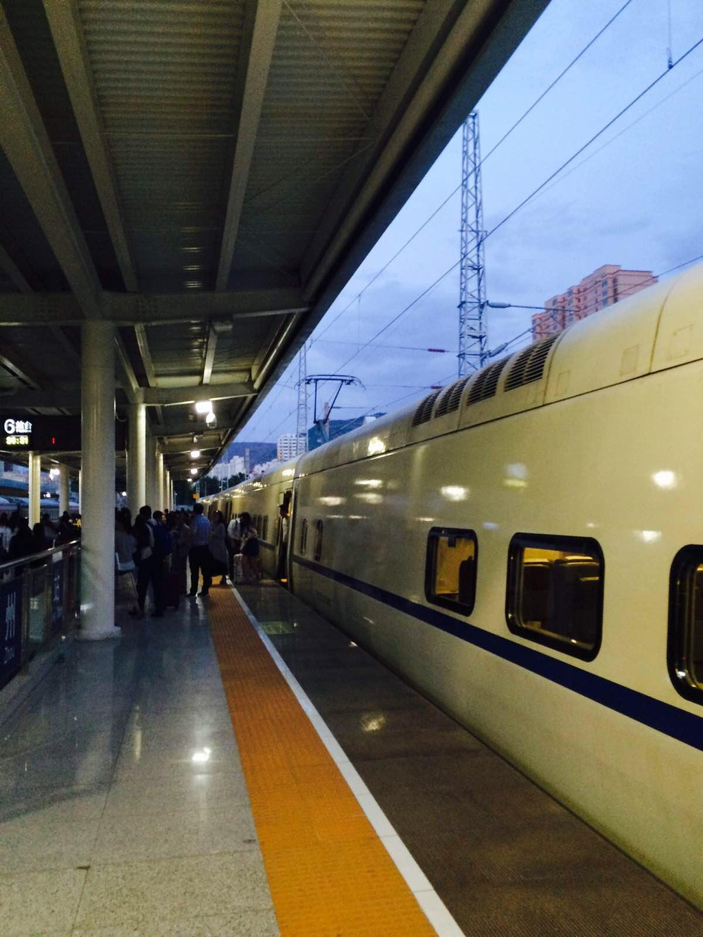 青海啊,青海———当我途径你的盛放