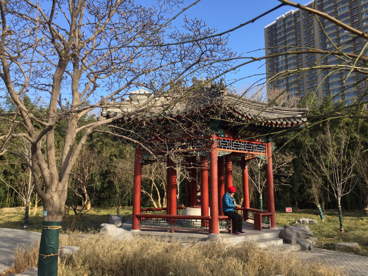 北京·中国  月坛公园 北京月坛公园。北京最有名的公园之一是天坛公园，实际上，北京还有一个比较有名的