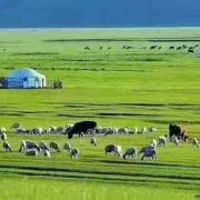 漠河夏天多少度,会不会很晒?