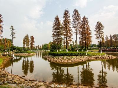 廣州國際生物島