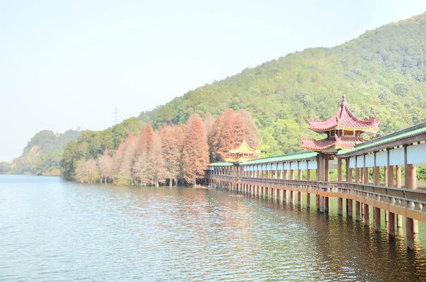 泮坑风景区