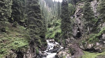 南山牧场
