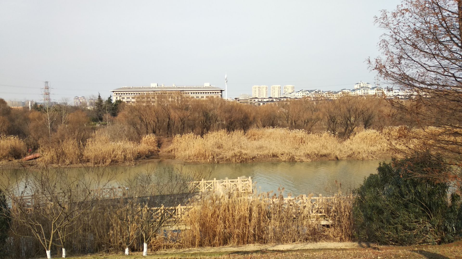 古黄河湿地公园