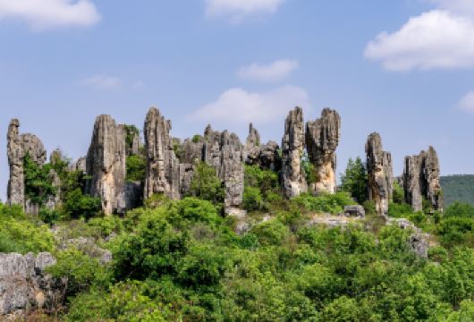 昆明石林风景区纯玩包车一日游【市区二环内上门接送+时间自由】【独立包车，真正纯玩自由行】