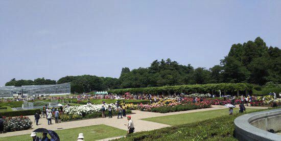 调布市神代植物公园游玩攻略简介 调布市神代植物公园门票 地址 图片 开放时间 照片 门票价格 携程攻略