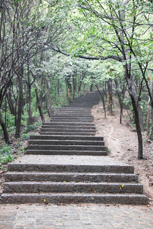 紫金山图片 风景图片