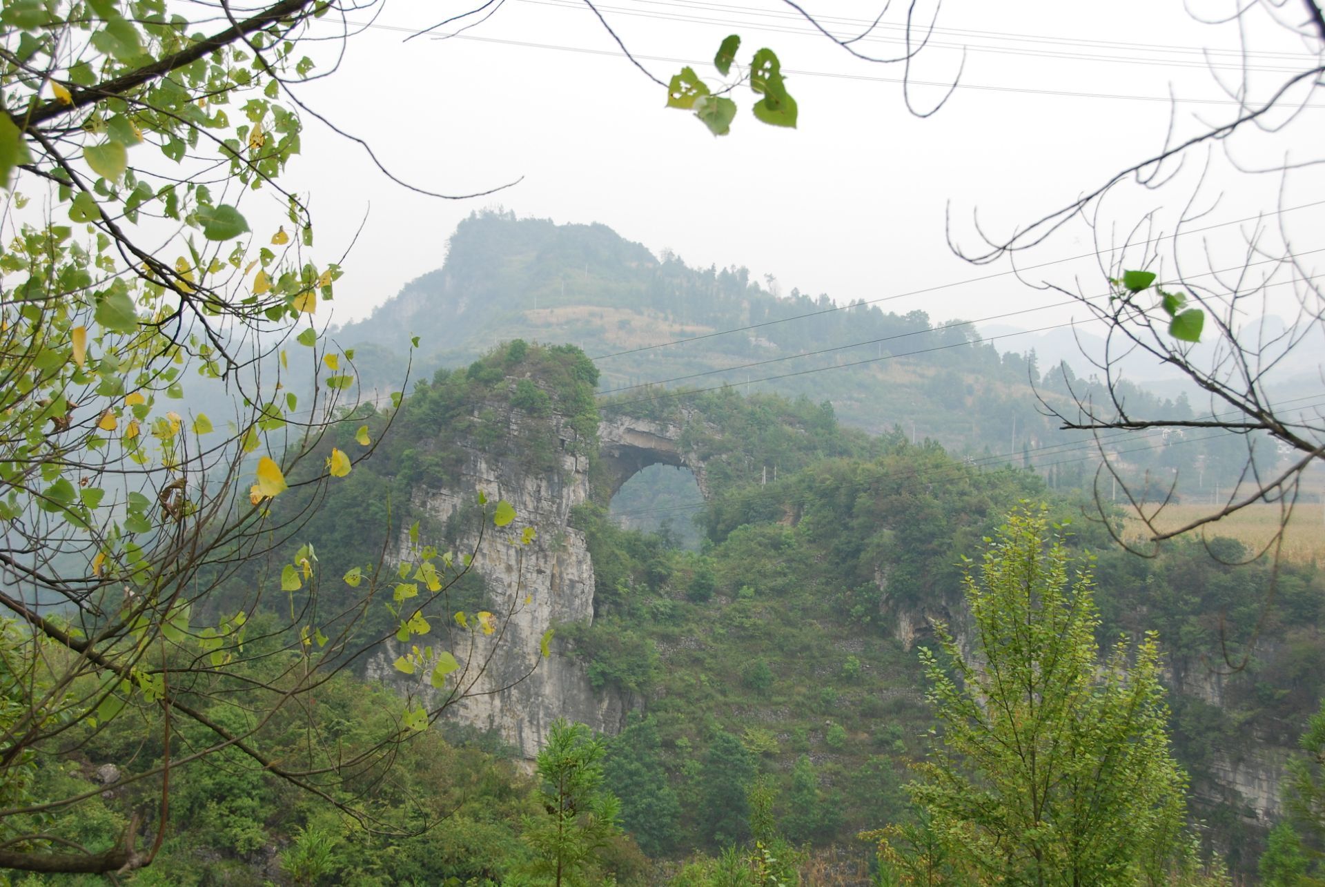 织金洞风景名胜区-一线三槽恐龙...