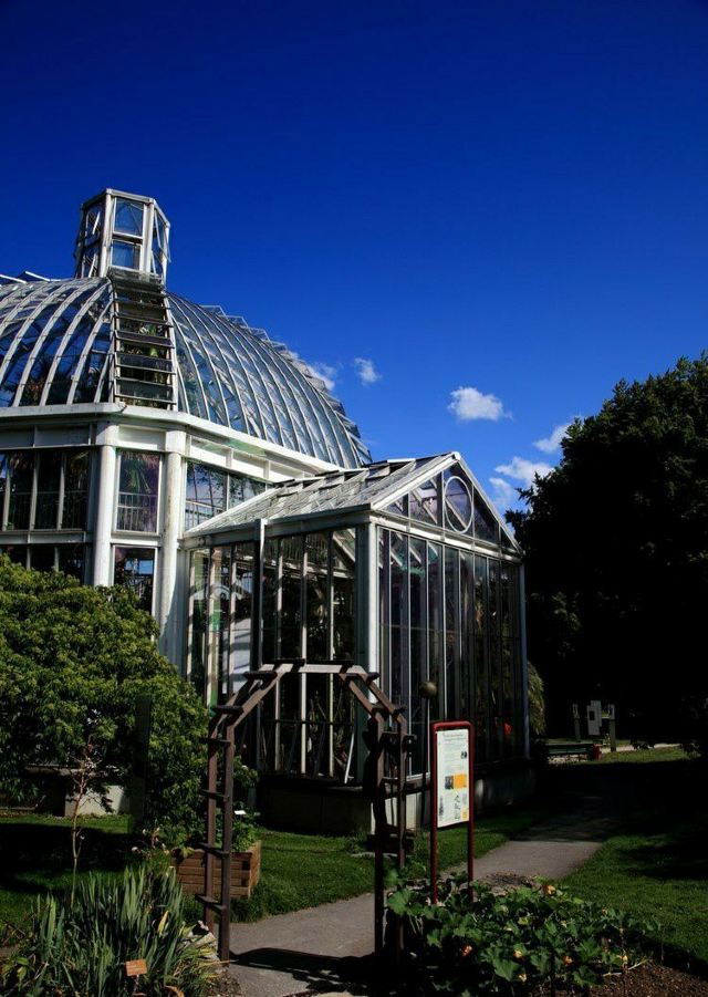 日内瓦植物园攻略,日内瓦植物园门票/游玩攻略/地址/图片/门票价格